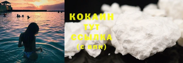 дмт Дмитриев