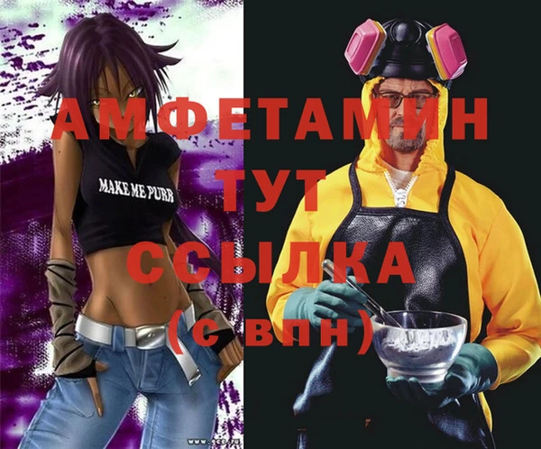гашик Дмитров