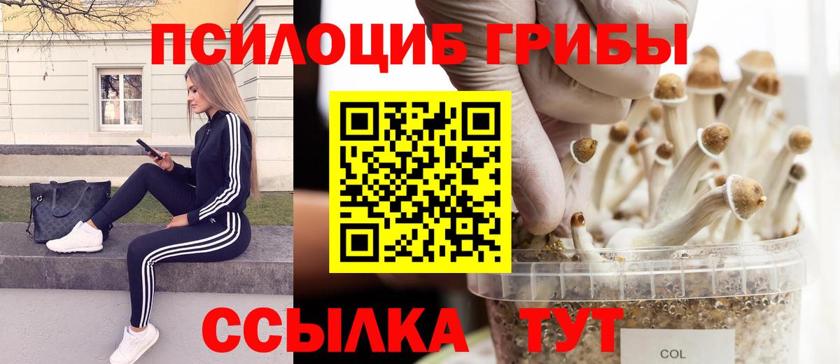 Галлюциногенные грибы мицелий Елабуга