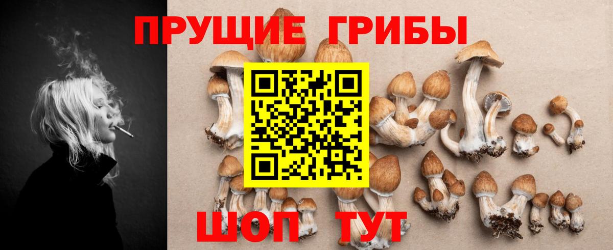 Псилоцибиновые грибы Psilocybine cubensis Елабуга