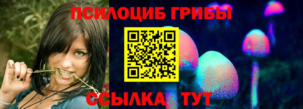 Псилоцибиновые грибы Magic Shrooms  Вход с VPN  Елабуга 